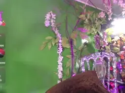 Amateur Adult Webcam of agatha_monfort1