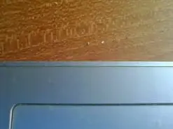 Amateur Free Porn Cam of travolga