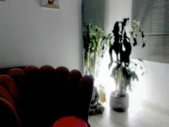 Amateur Private Sex Chat of Missvaleriewts