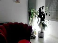 Amateur Best live sex cam show of Missvaleriewts