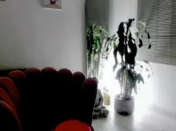 Amateur Live Porn of Missvaleriewts