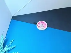 Amateur Adult Video Chat of zaid_lionn