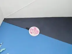 Amateur Free Porn Cam of zaid_lionn