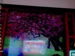 Amateur Adult Webcams of Britanny_Lopez