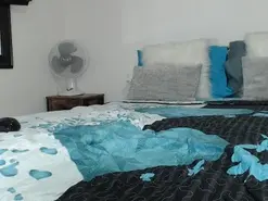 Amateur Free Live Porn of latinaflower_ts