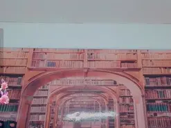 Amateur Free Porn Cam of amanda_cax