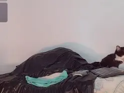 Amateur Sex Cam of khiara_moretti