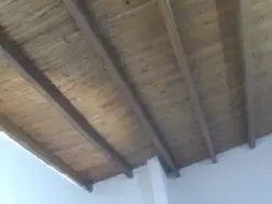 Amateur Live Sex of danitorress