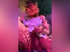 Amateur Free Live Porn of Sasha222