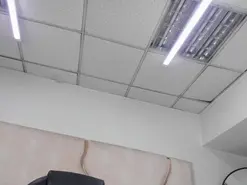 Amateur Free Porn Cam of alice772