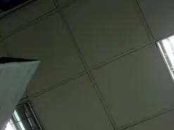 Amateur Best Webcam of alice772