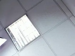 Amateur Watch Live Sex Cams of alice772