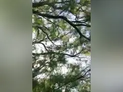 Amateur Live Sex of ZoraidaGiroNina