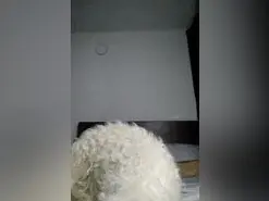 Amateur Live Porn of Gatubelu_75