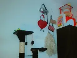 Amateur Sex Chat of karol_scoott