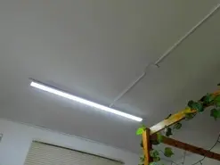 Amateur Sex Chat of Haylin_camila