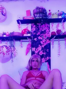 Cam4 Adult Webcams of Obsession