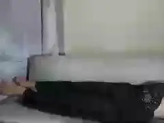 Cam4 Nude Webcam of Sexy_nelie