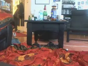 Cam4 Watch Live Sex Cams of alexxxandra4