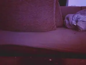 Cam4 Sex Chat of TsDominatrix