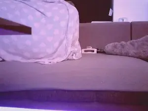 Cam4 Best Webcam of TsDominatrix