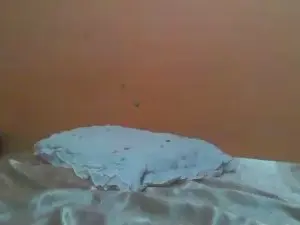 Cam4 Nude Webcam of Carol2289