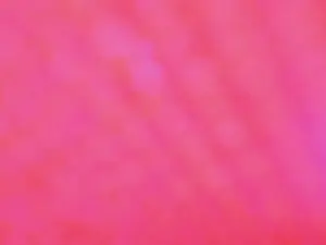 Cam4 Adult Webcam of Bianca_baldwin_