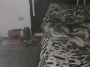 Cam4 Private Sex Chat of LaGuilleMiaw