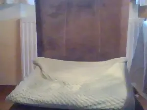 Cam4 Best live sex cam show of petra105