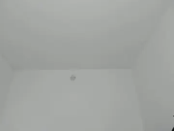 Cam4 Adult Video Chat of SARA_FOX_TS