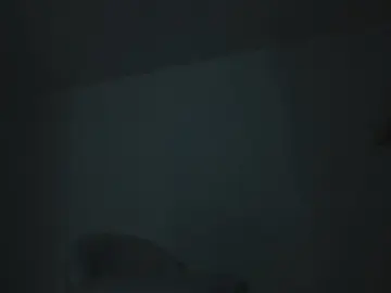 Cam4 Live Sex Cam of SARA_FOX_TS