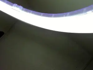 Cam4 Watch Live Sex Cams of Lovers_Spicy