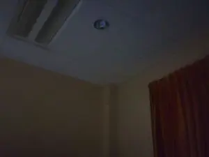 Cam4 Nude Webcam of ginevracam4