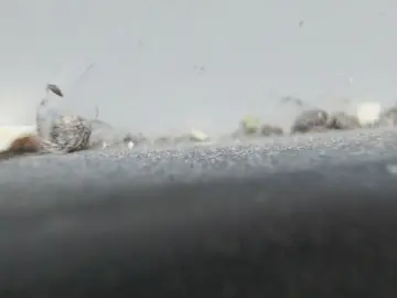 Cam4 Free Porn Cam of sissy7436