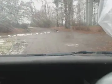 Cam4 Adult Webcam of sissy7436