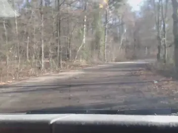 Cam4 Adult Video Chat of sissy7436