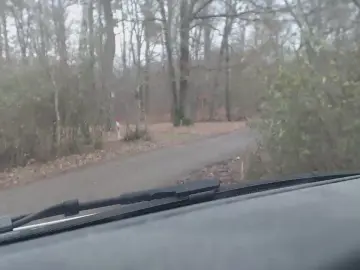 Cam4 Live Sex Cam of sissy7436