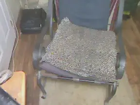 Cam4 Live Porn of Willa_Jutsol