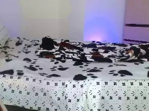 Cam4 Nude Webcam of SaryDoll