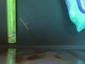 Cam4 Private Sex Chat of SophiaValentina