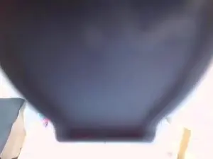 Cam4 Live Porn of rosebigcock