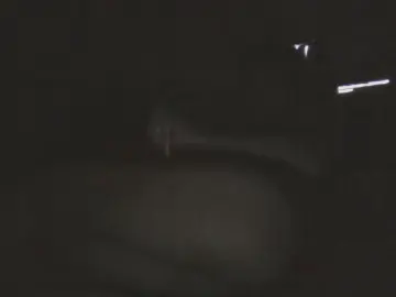 Cam4 Sex Cam of Barbytv