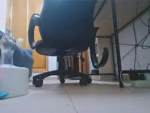 Cam4 Sex Cam of ChloeTvFem