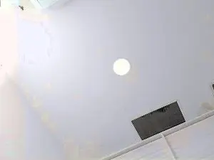 Cam4 Free Porn Cam of cleopatra_Trans