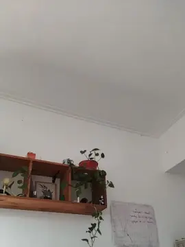 Cam4 Best live sex cam show of Lecoco33
