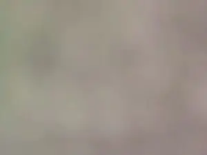 Cam4 Sex Cam of fattyy_sexy