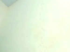 Cam4 Free Live Porn of everlynparty