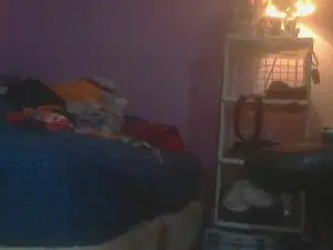 Cam4 Sex Chat of amentohotep99