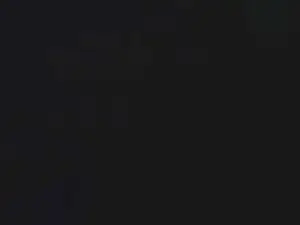 lishrimpdick from cam4