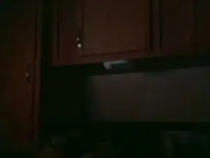 Cam4 Free Porn Cam of lishrimpdick